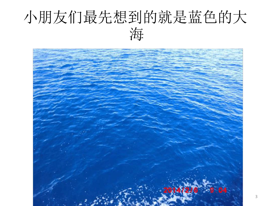 认识海洋生物课件.ppt_第3页