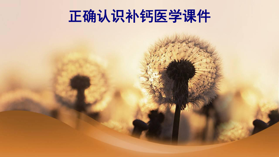 正确认识补钙PPT培训课件.ppt_第1页