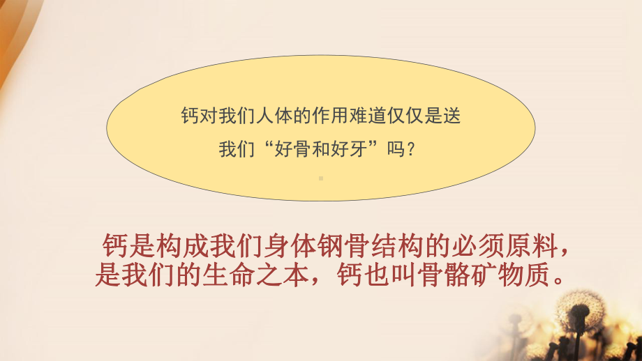 正确认识补钙PPT培训课件.ppt_第2页