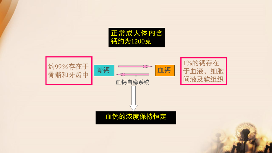 正确认识补钙PPT培训课件.ppt_第3页