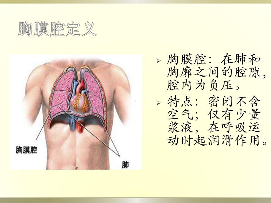 胸腹腔穿刺-PPT课件.ppt_第3页