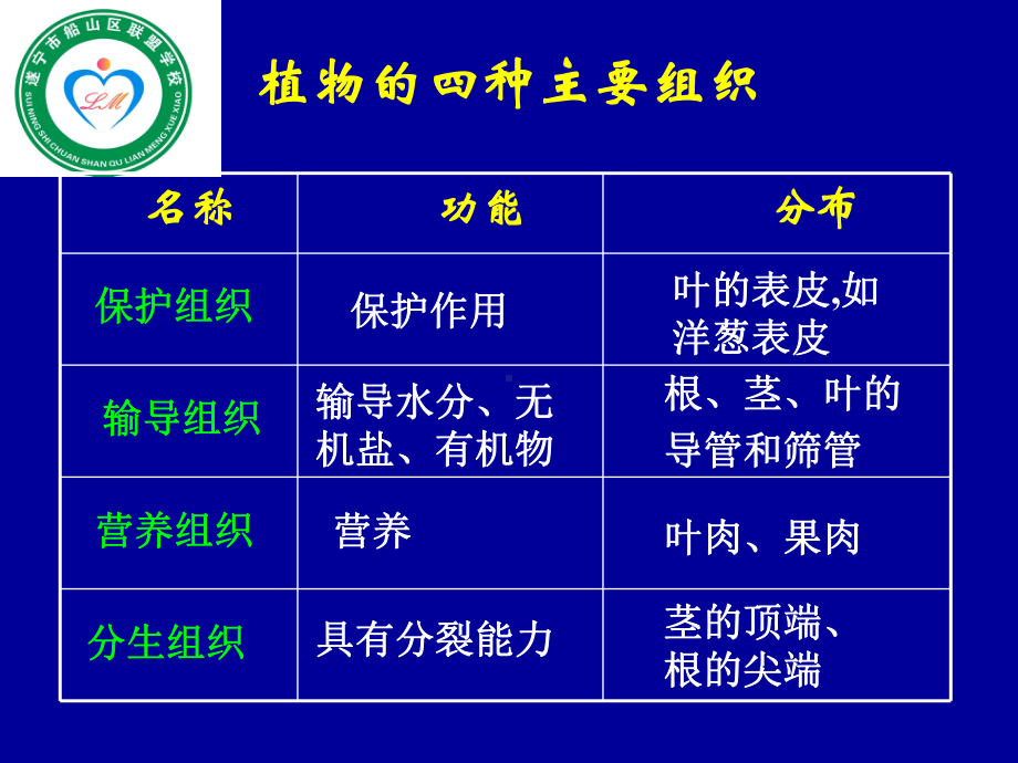 七年级生物上册-4.2-生物体的器官、系统课件-北师大版.ppt_第3页