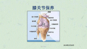 膝关节保养课件.ppt