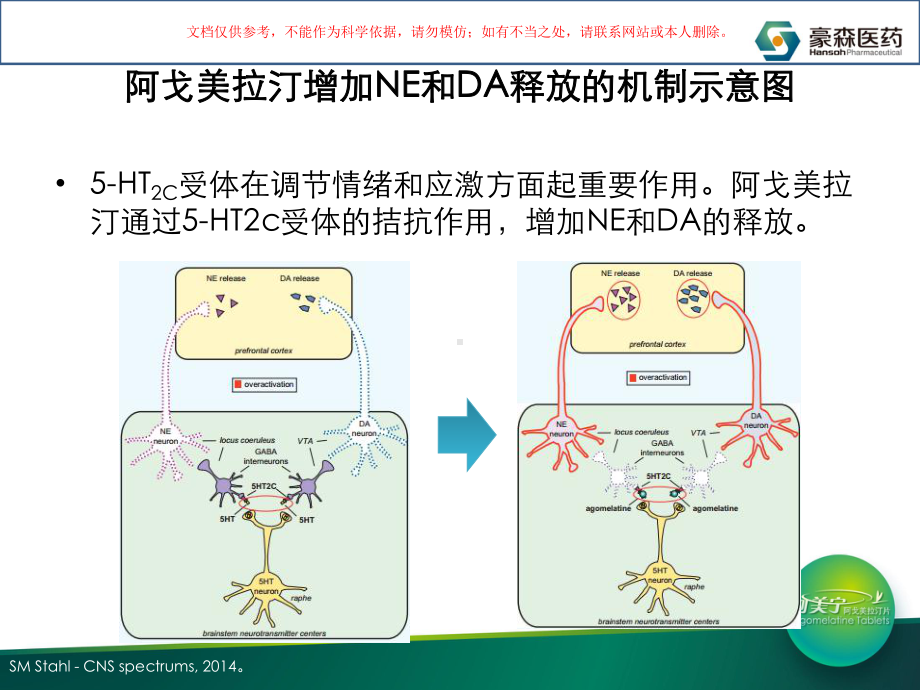 阿戈美拉汀的药理机制课件.ppt_第3页