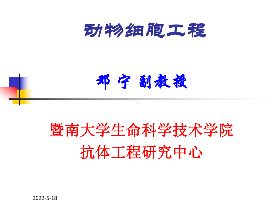 动物细胞工程-PPT课件.ppt_第1页