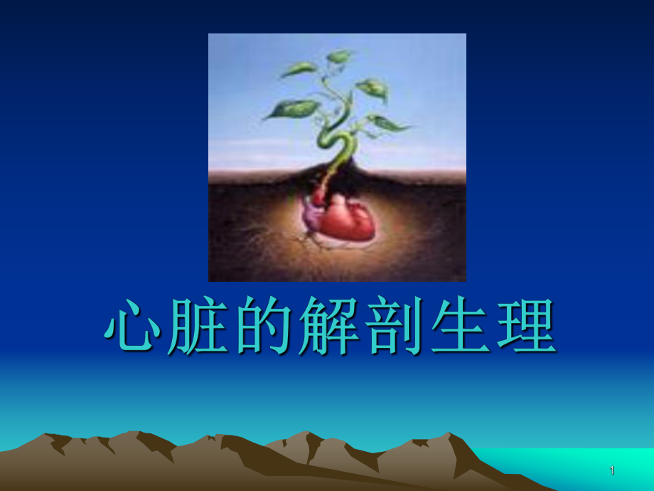 心脏的解剖生理-PPT课件.ppt_第1页