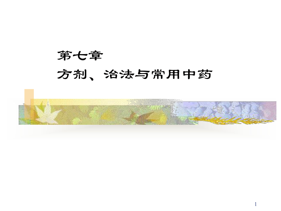 第一节中药基本知识-PPT课件.ppt_第1页