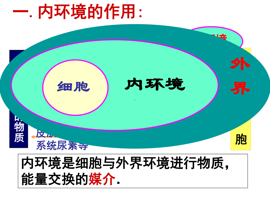 必修三核心知识点课件.ppt_第3页