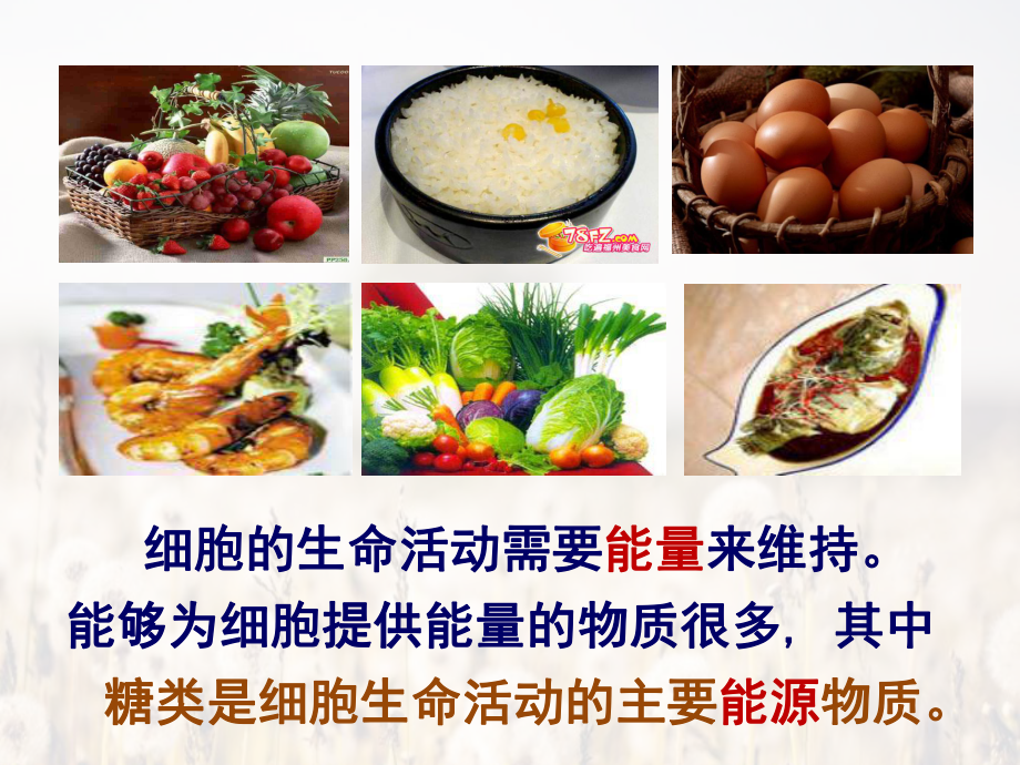 课件-细胞中的糖类.ppt_第3页