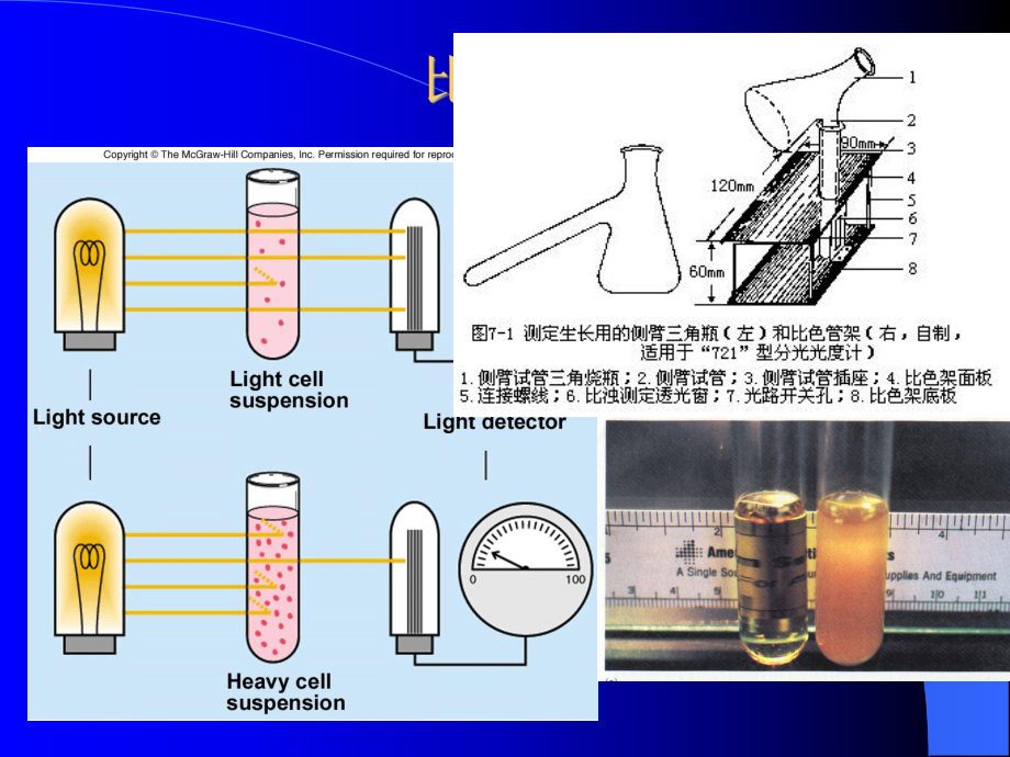 华东理工微生物课件7.ppt_第3页