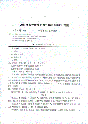 2021年西南科技大学硕士考研真题613文学理论.pdf