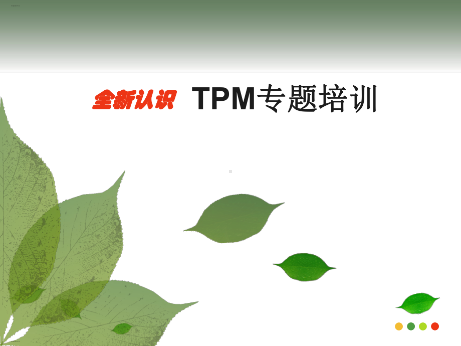 TPM专题培训课件(PPT101页).ppt_第1页