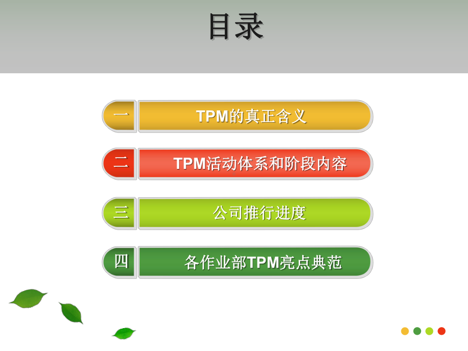 TPM专题培训课件(PPT101页).ppt_第2页