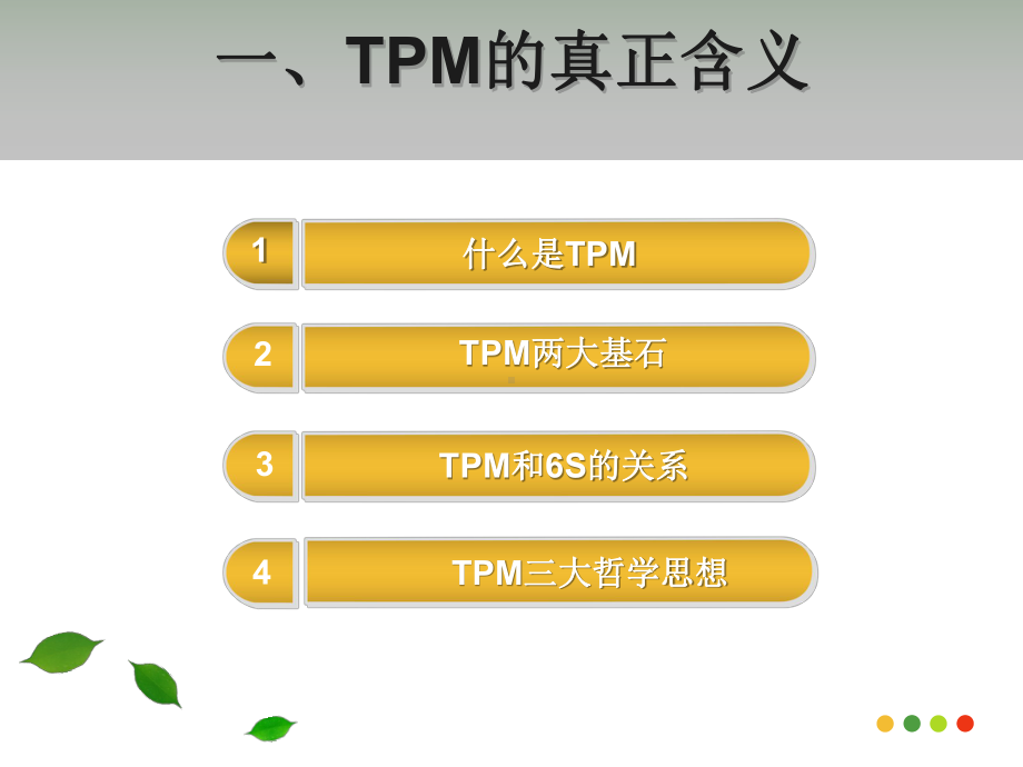 TPM专题培训课件(PPT101页).ppt_第3页