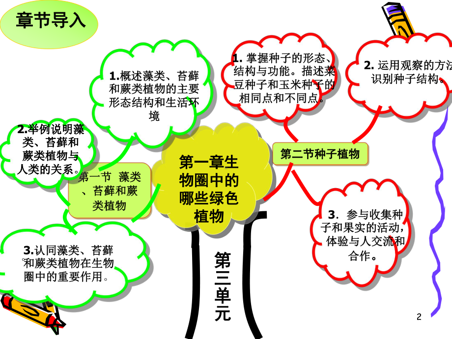 《第二节-种子植物》PPT课件.ppt_第2页