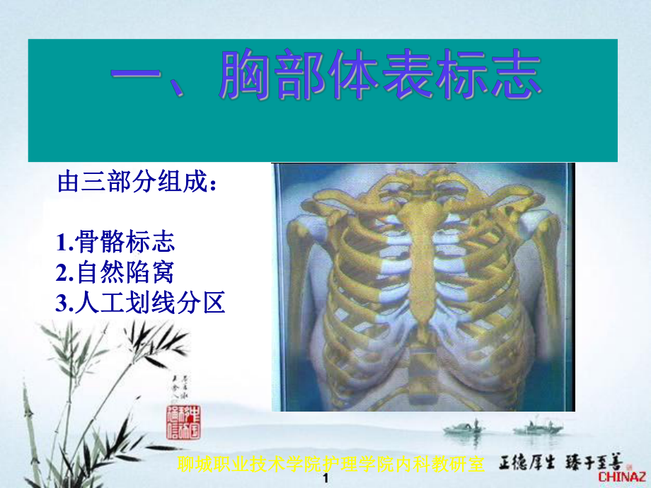 (健康评估课件)13胸肺评估.ppt_第3页