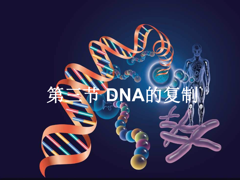 人教版高中生物必修：DNA的复制PPT课件.ppt_第1页