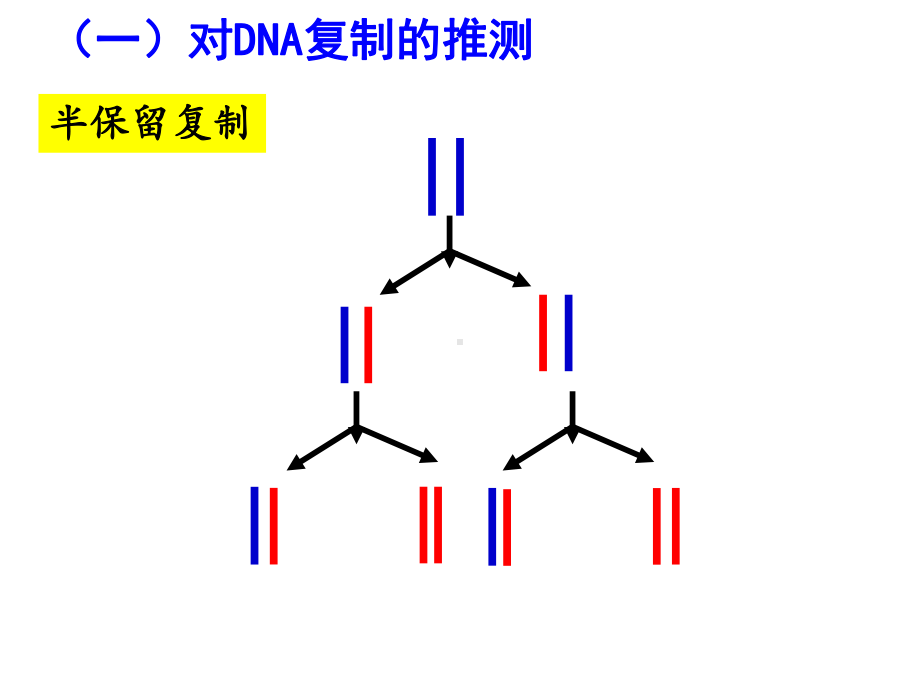 人教版高中生物必修：DNA的复制PPT课件.ppt_第2页