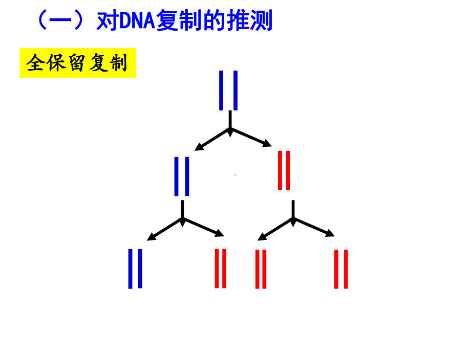 人教版高中生物必修：DNA的复制PPT课件.ppt_第3页