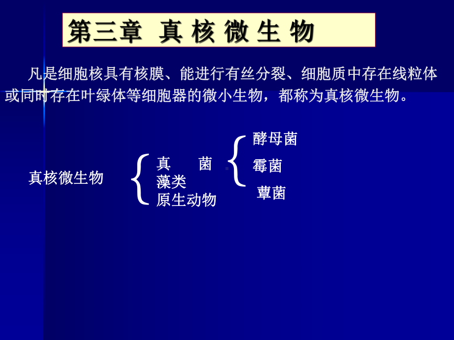 微生物课件4真核微生物.ppt_第2页