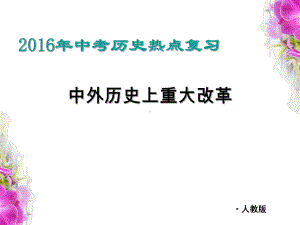 中考历史热点复习-中外历史上重大改革PPT优秀课件-人教版.ppt