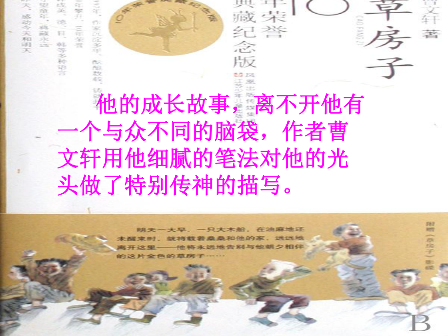 《草房子》欣赏课课件.ppt_第3页