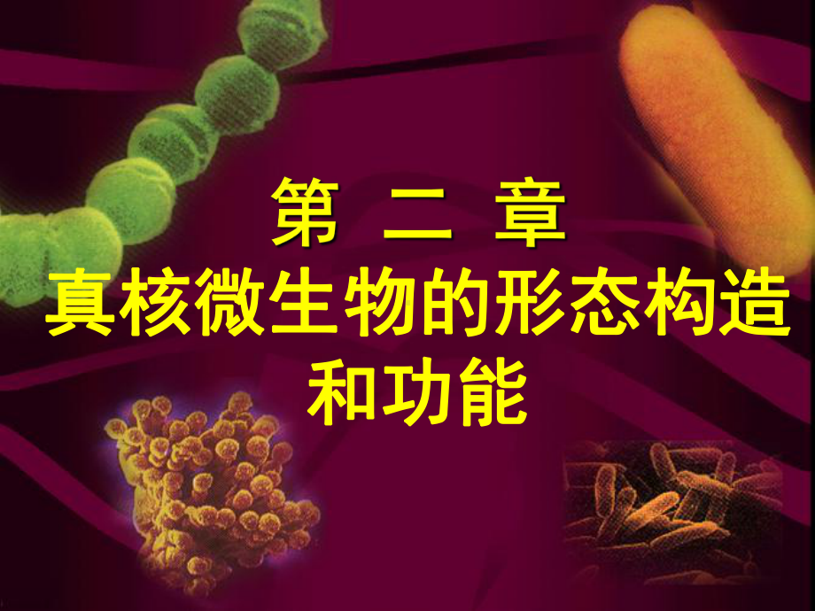 微生物课件第2章.ppt_第1页