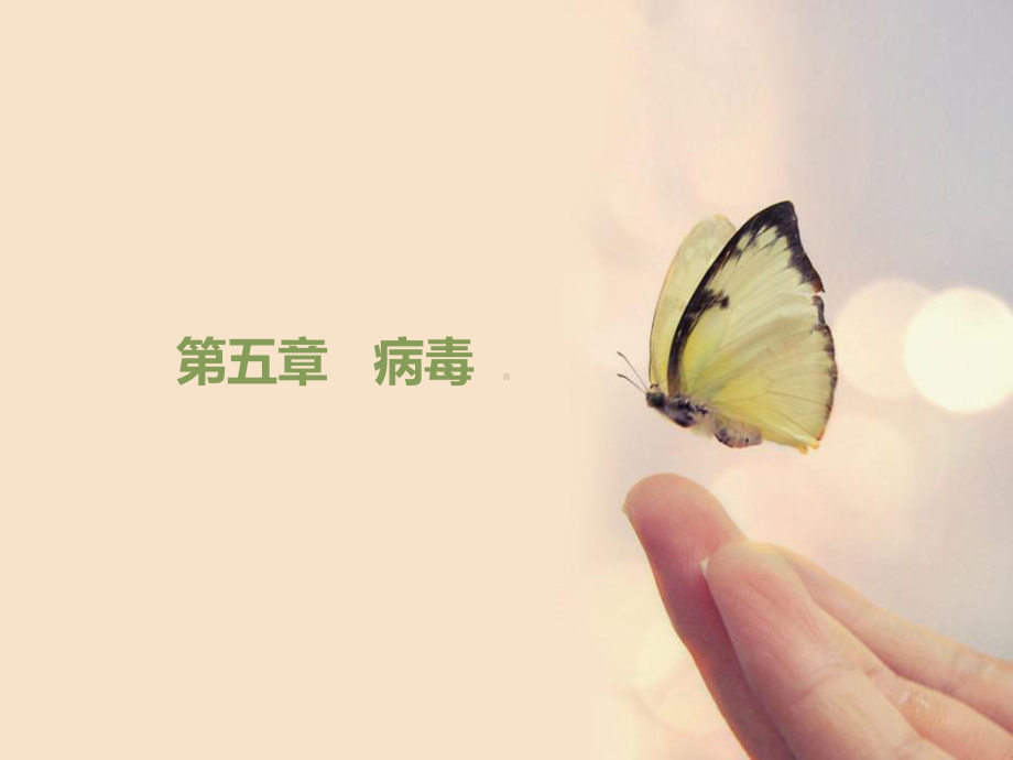 人教版八年级生物上册5.5《病毒》课件-(共25张PPT).ppt_第1页