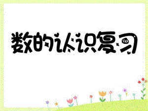 六年级数学下册7.1.1整数、小数的认识(1)-PPT精品课件(新版)苏教版.ppt