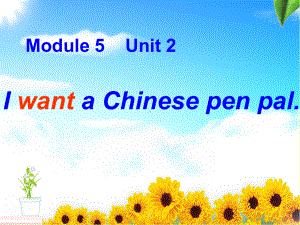 I-want-a-Chinese-pen-pal.(外研社英语教学课件).ppt（无音视频）