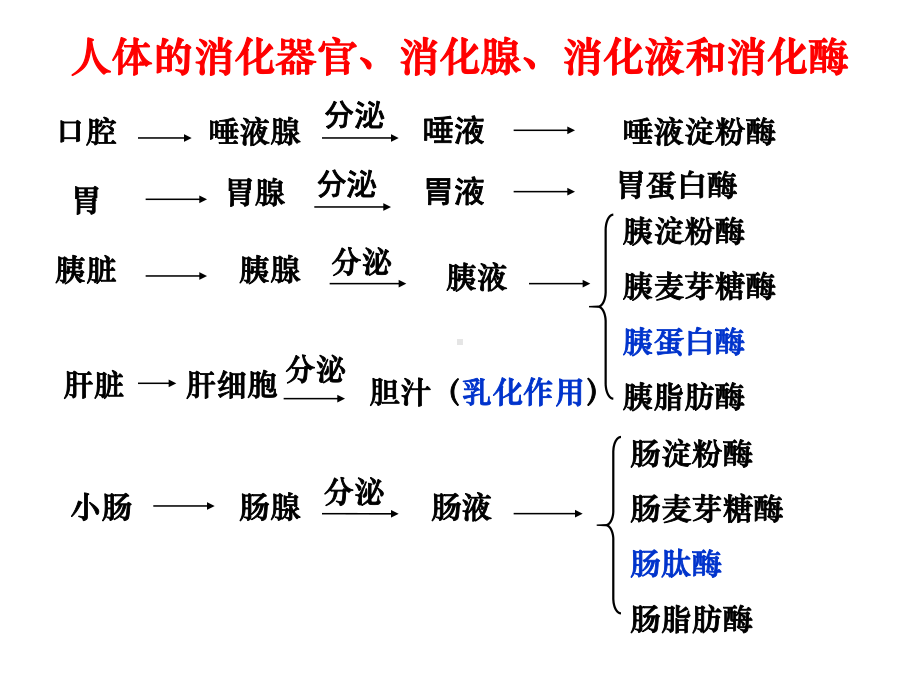 人教版教学课件第二节通过激素的调节.ppt_第3页