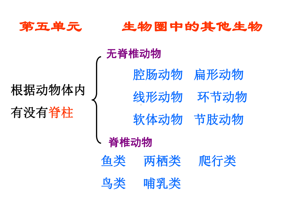 八年级生物上册总复习课件.ppt_第1页