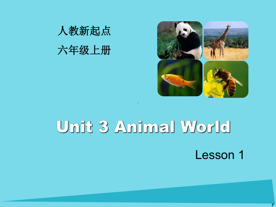 六年级英语上册Unit3AnimalWorld(Lesson1)课件人教新起点.ppt（无音视频）_第1页