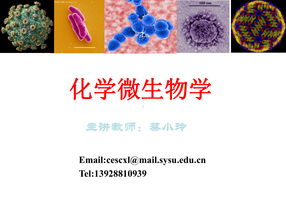 化学微生物学课件第1章.ppt_第1页