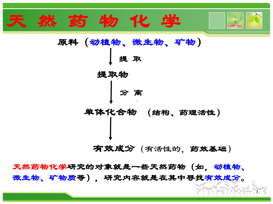 天然药物化学-课件.ppt_第3页