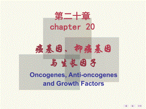 12-第20章-癌基因、抑癌基因与生长因子-PPT课件.ppt