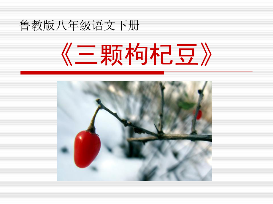 《三颗枸杞豆》PPT优秀课件3.pptx_第1页