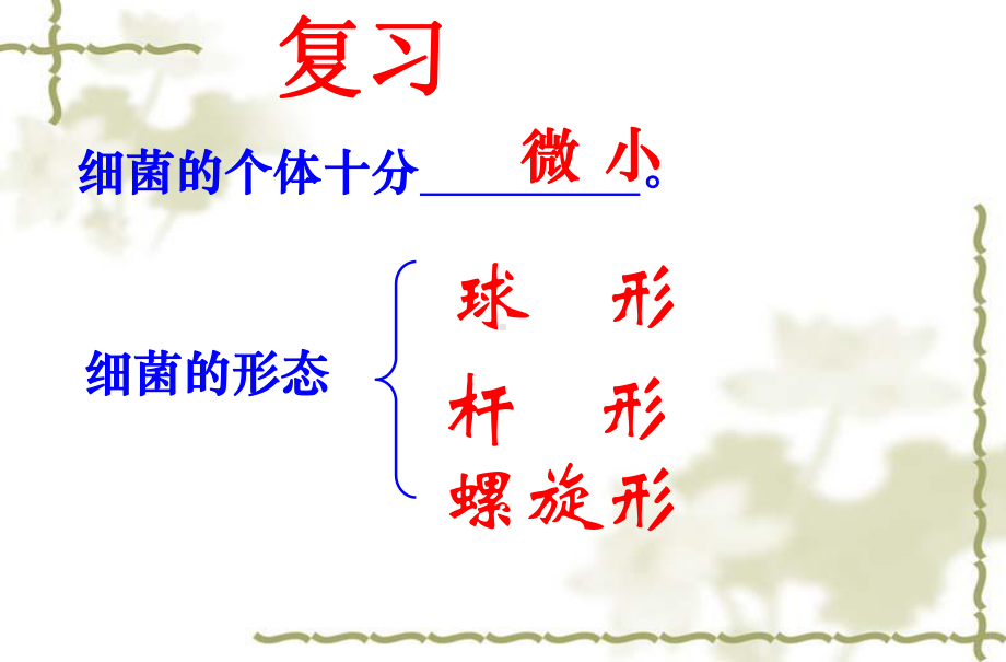 新人教版初二八年级生物上册新人教版初二八年级生物上册5精品中学ppt课件.4.3真菌-(1).ppt_第3页