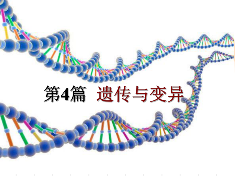 普通生物学第四篇遗传与变异第23和24章课件.ppt_第1页