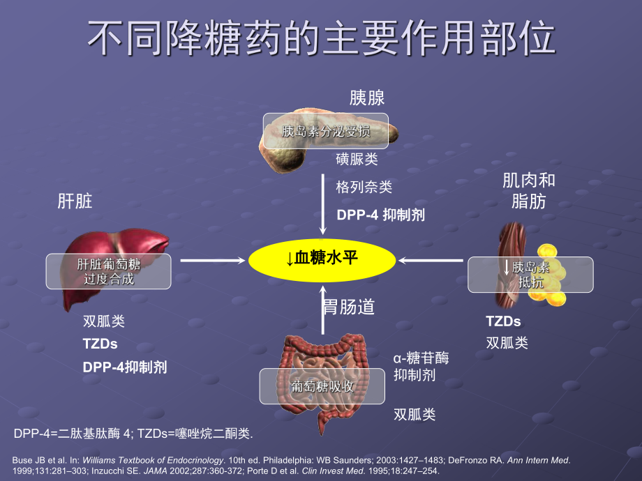 口服降糖药物—课件.ppt_第2页