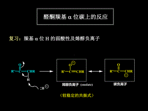 第十章-醛酮4-复旦大学有机化学课件..ppt