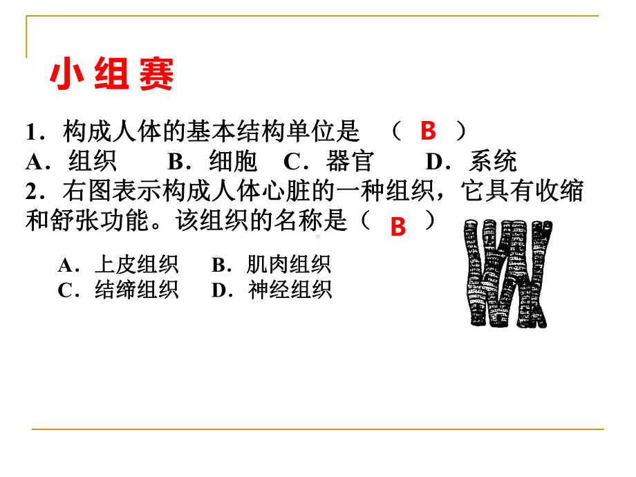 人体的结构层次生物课件.ppt_第2页