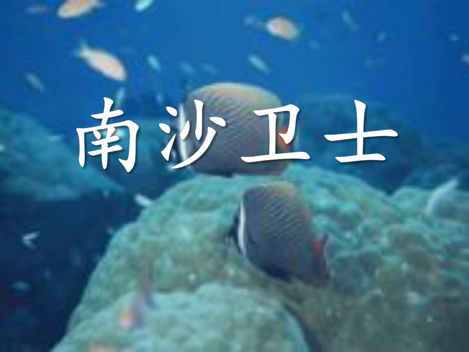 《南沙卫士》PPT优秀课件2.ppt_第1页