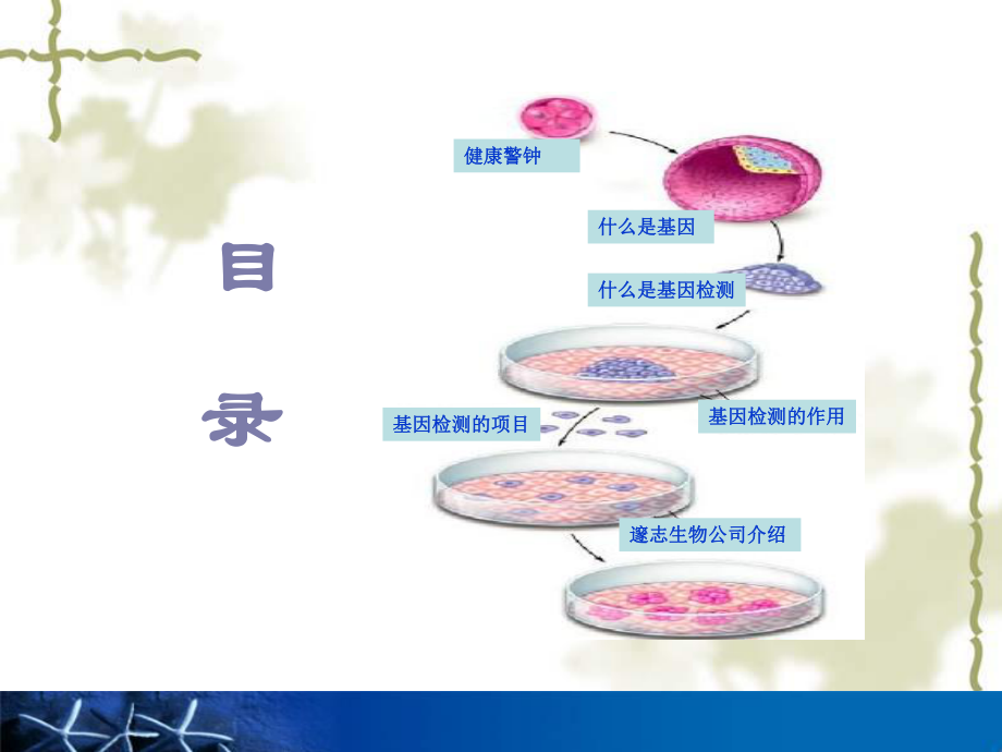 基因知识讲座-PPT课件.ppt_第2页