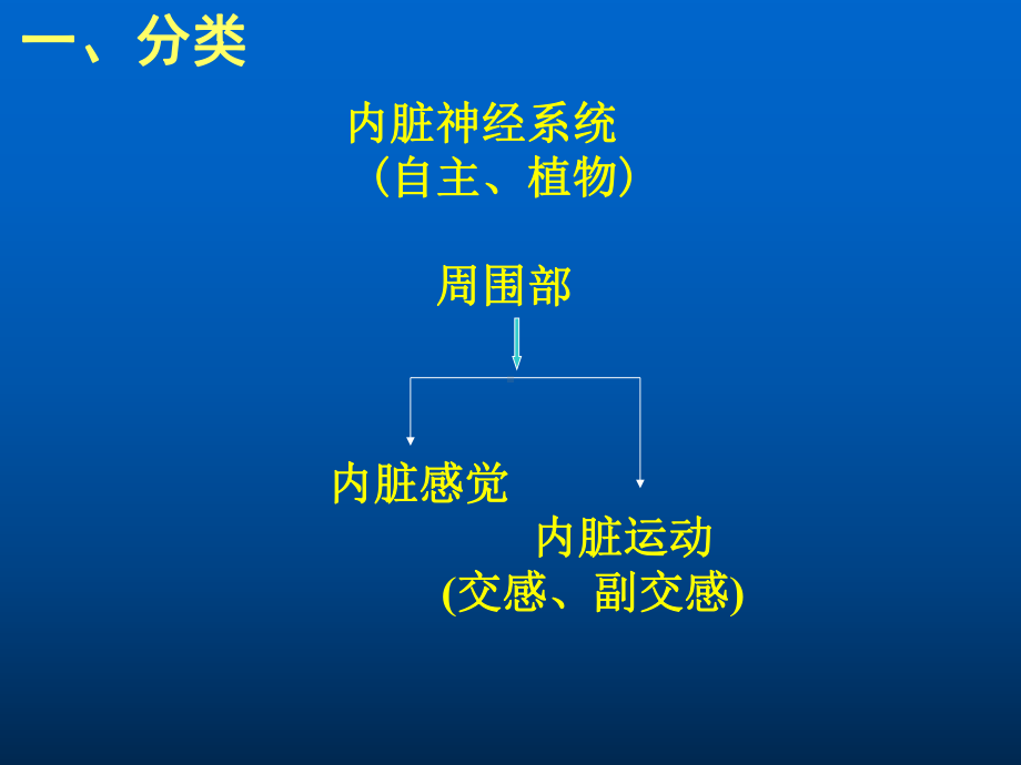 内脏神经解剖学课件.ppt_第2页