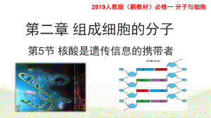 2.5-核酸是遗传信息的携带者(1)-课件人教版高中生物必修一(共28张PPT).pptx