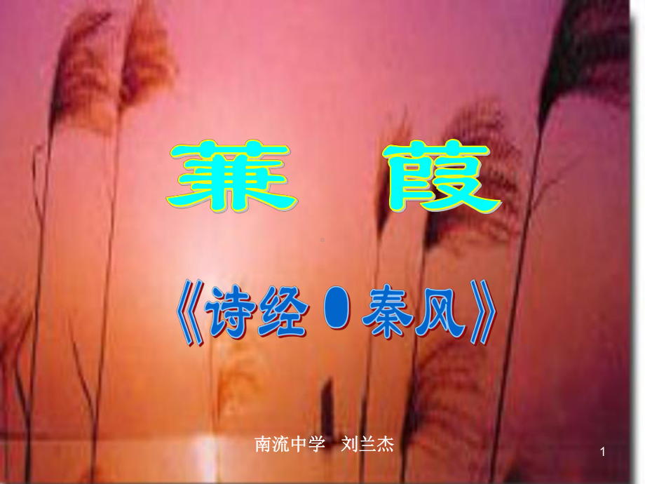 沪教版《蒹葭》课件.ppt_第1页