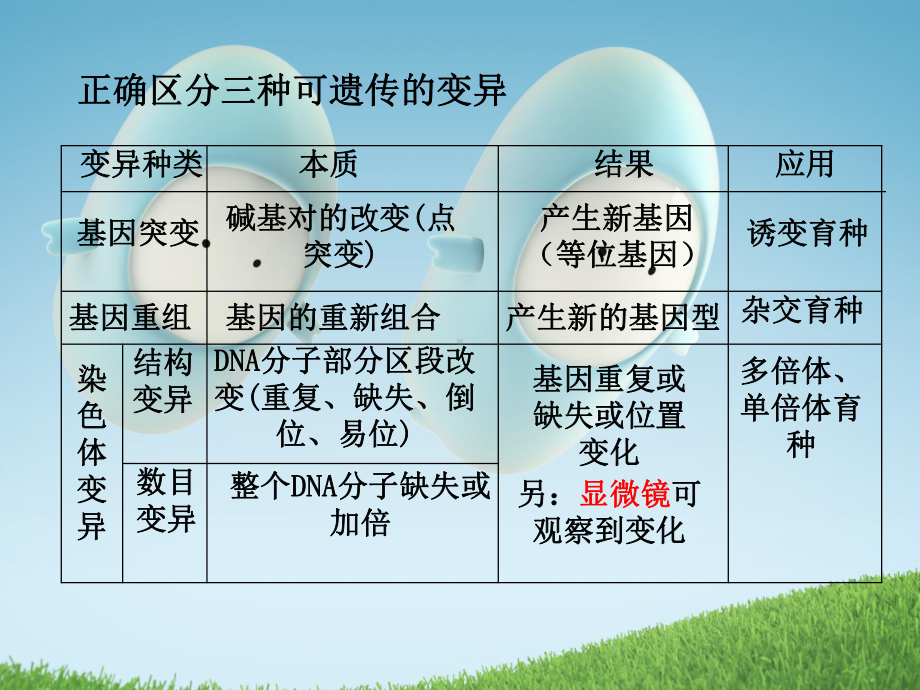 复习课件：专题九-生物的变异与进化(必修2).ppt_第3页