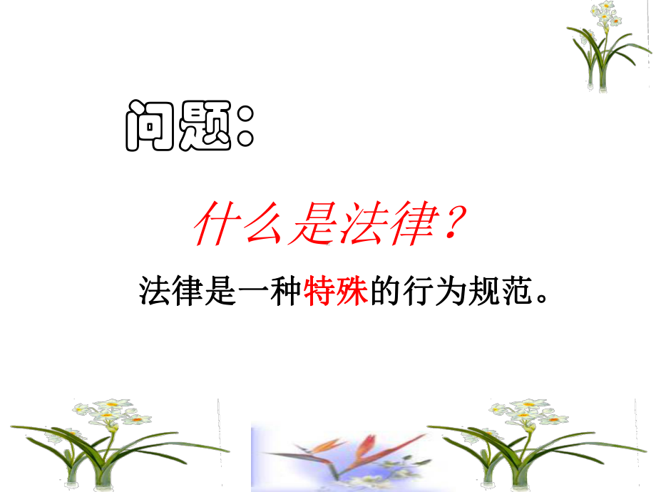 粤教版初中政治七年级下第七单元特殊保护课件-49张幻灯片概要.ppt_第3页