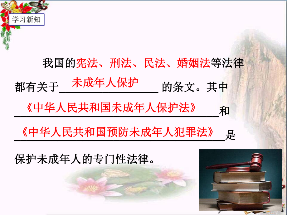 保护未成年人的重要法律PPT优秀课件-粤教版(共23张).ppt_第3页